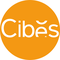 Pt Cibes Lift Indonesia