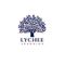 Lychee Learning