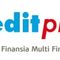 PT KB Finansia Multifinance