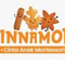 Cinnamon Montessori School