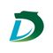 SHENZHEN DELIN DATONG INVESTMENT CO LTD