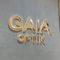 Optik GAIA