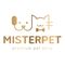 Mister Corp Indonesia