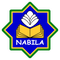 TK Islam Nabila
