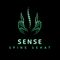 Sense Spine Sehat