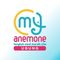 Anemone Ubung
