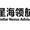 Stellar Nexus Advisor