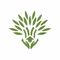 Bamboo Village Trust