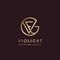 Violight Estetika Group