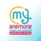 Anemone Mengwitani Badung