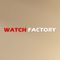 Zoom Watch