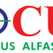 CV FOCUS ALFASARANA