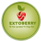 EXTOBERRY