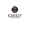 CAESAR MEDIA PUSTAKA