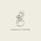 Gerberas Cafe & Patisserie