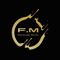 PT FIREWORKS MEDIA INDONESIA