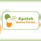 Apotek Qeena Farma