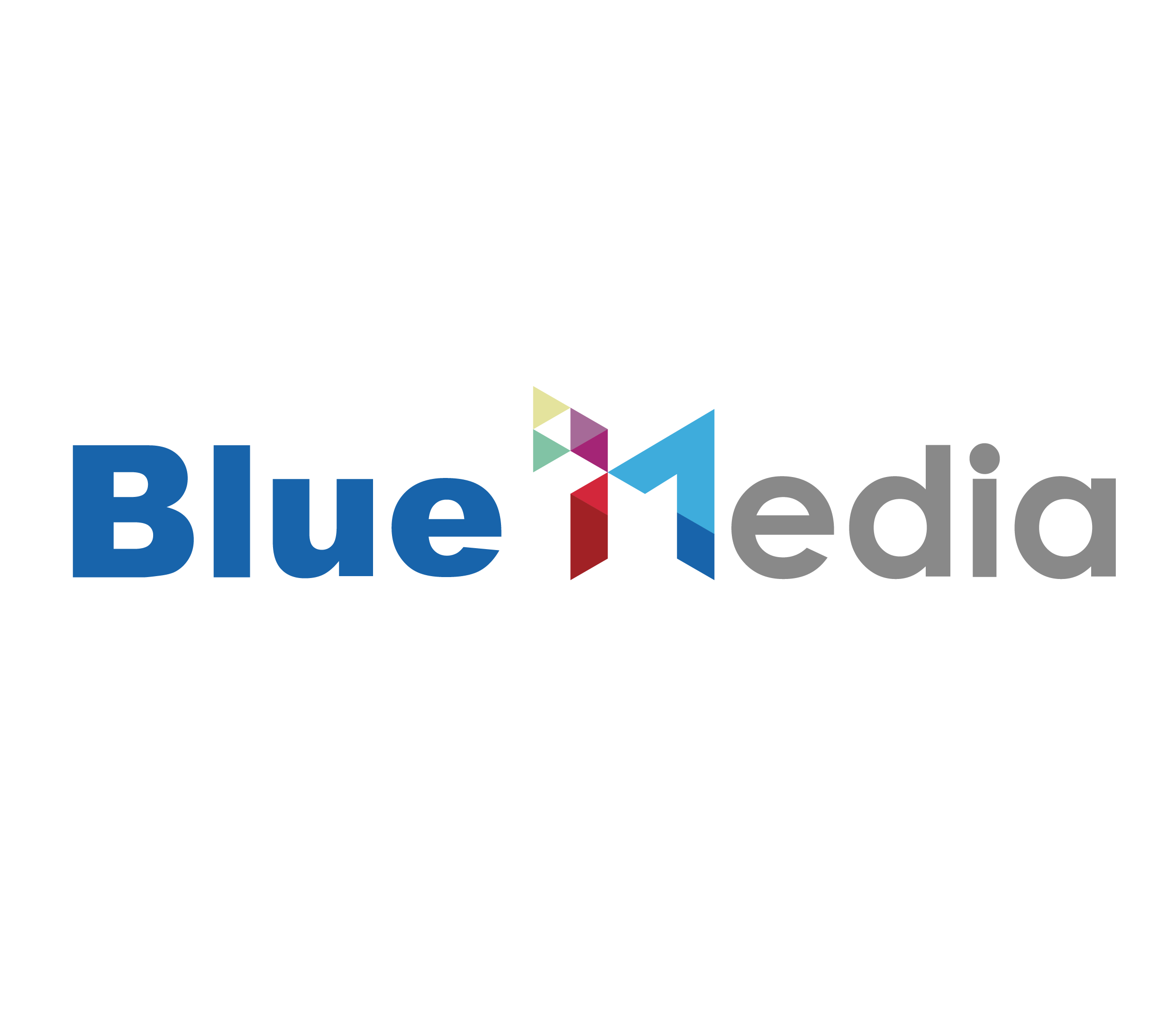 Công ty TNHH BlueMedia Việt Nam logo