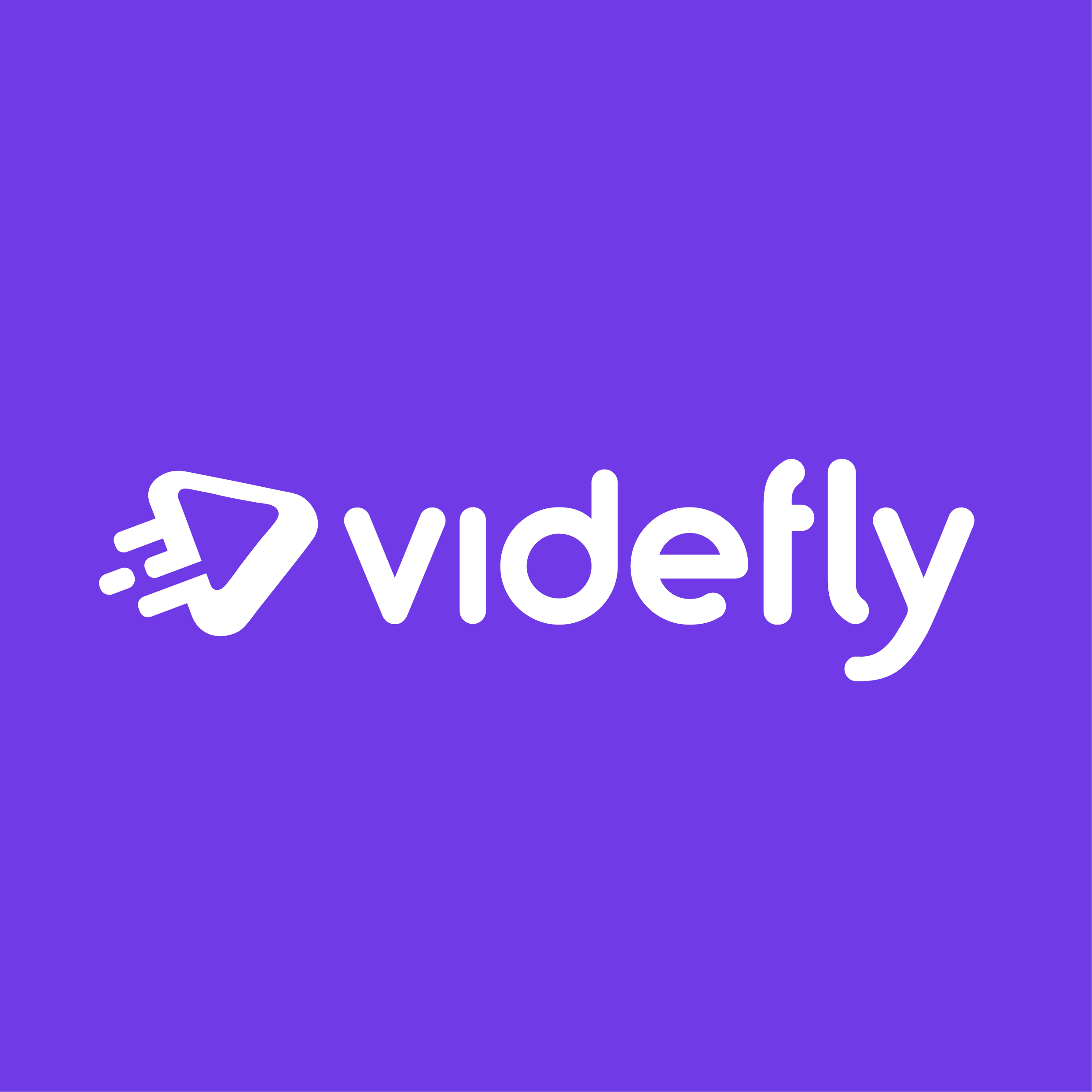 Videfly