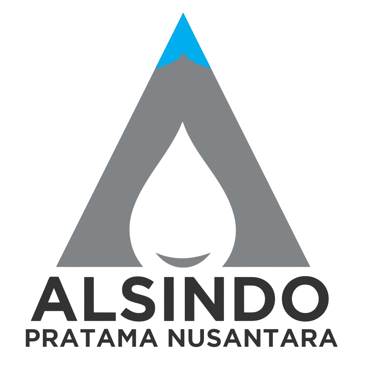 PT Alsindo Pratama Nusantara logo