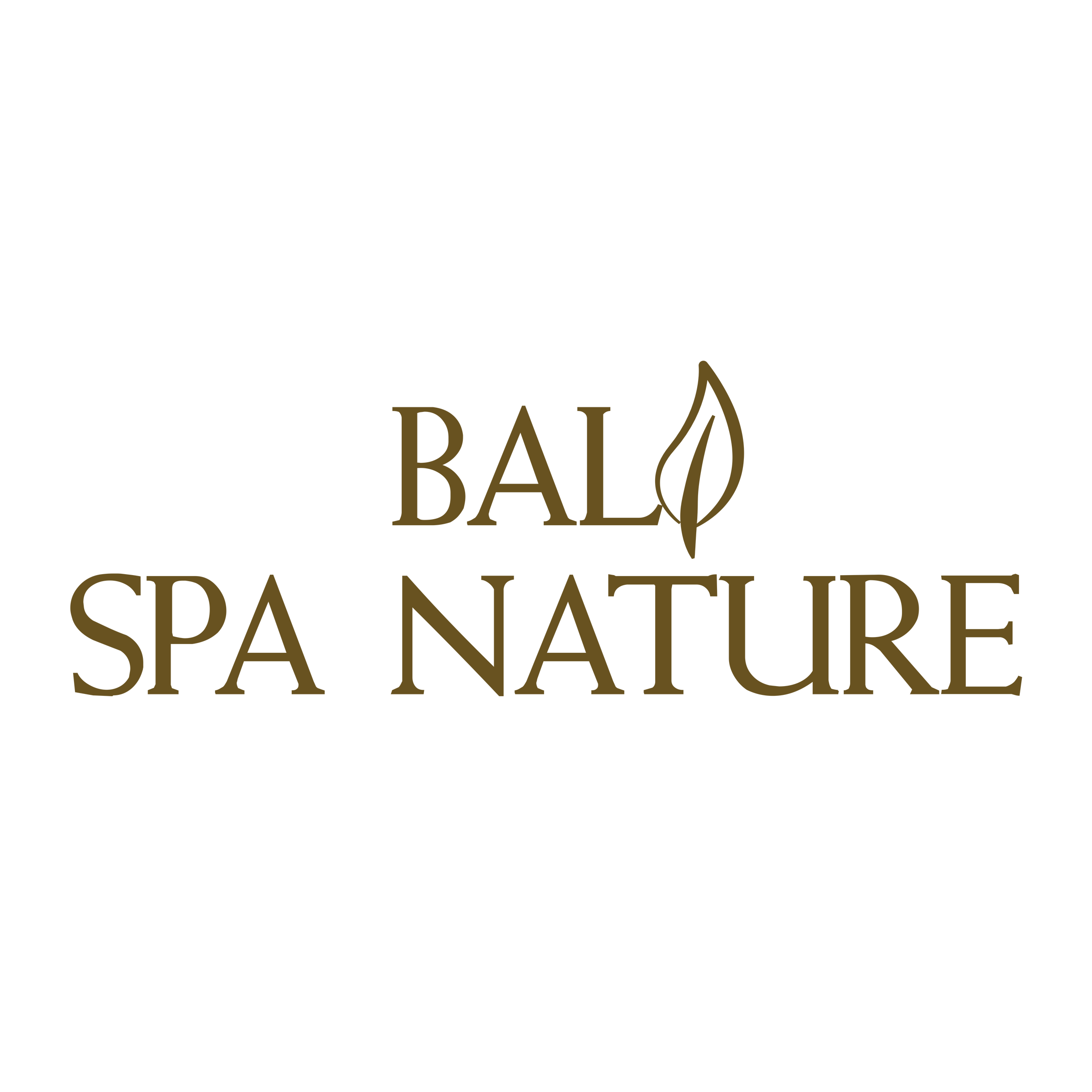 Bali Spa Nature logo