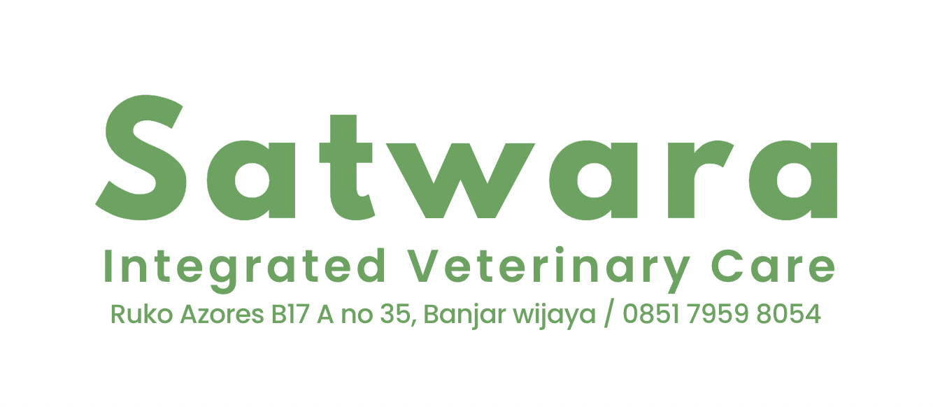 Daily Pet Care