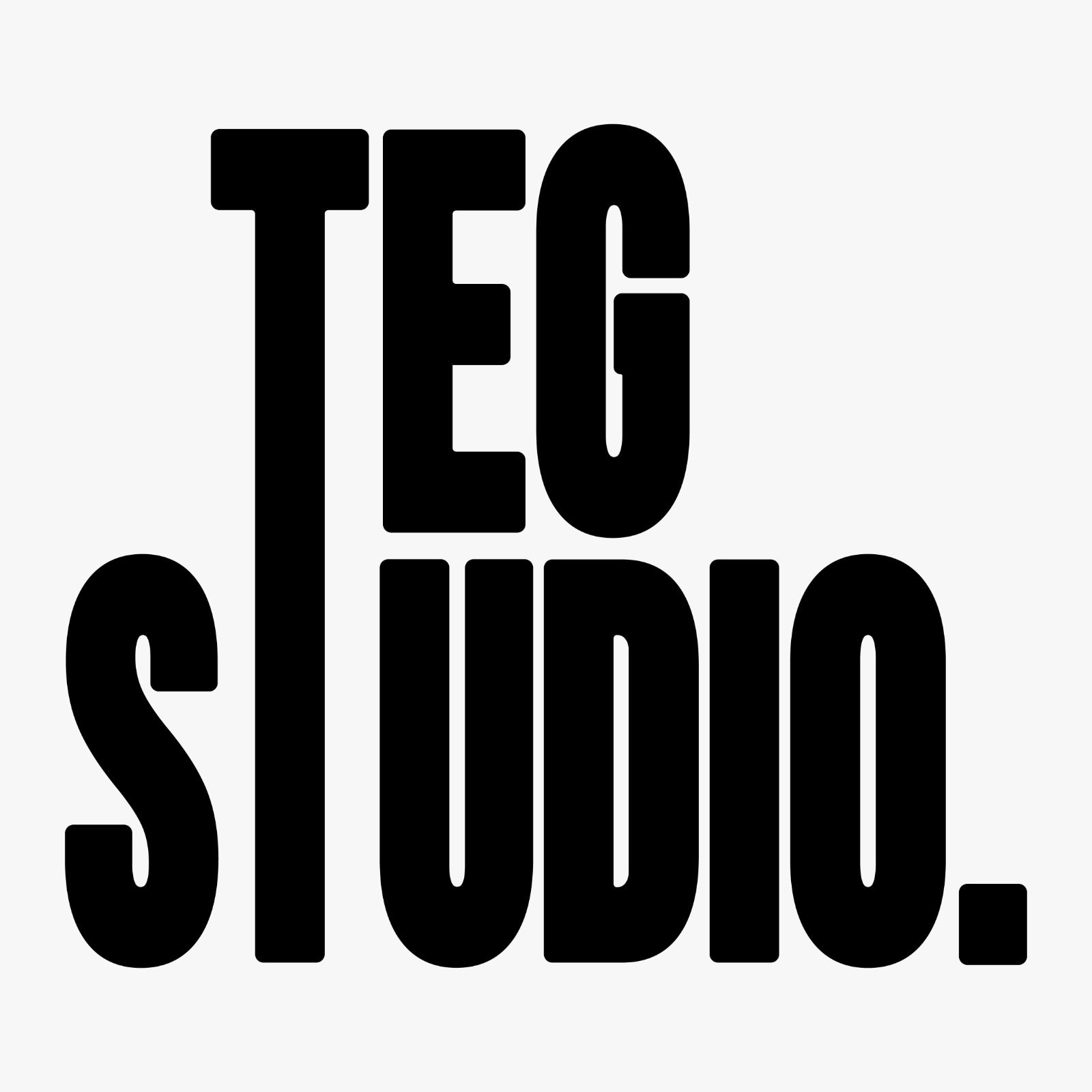 TEG STUDIO