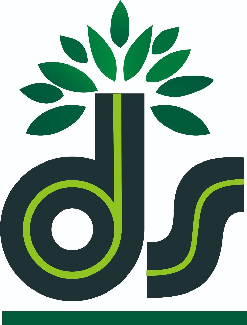 PT. Dami Sariwana