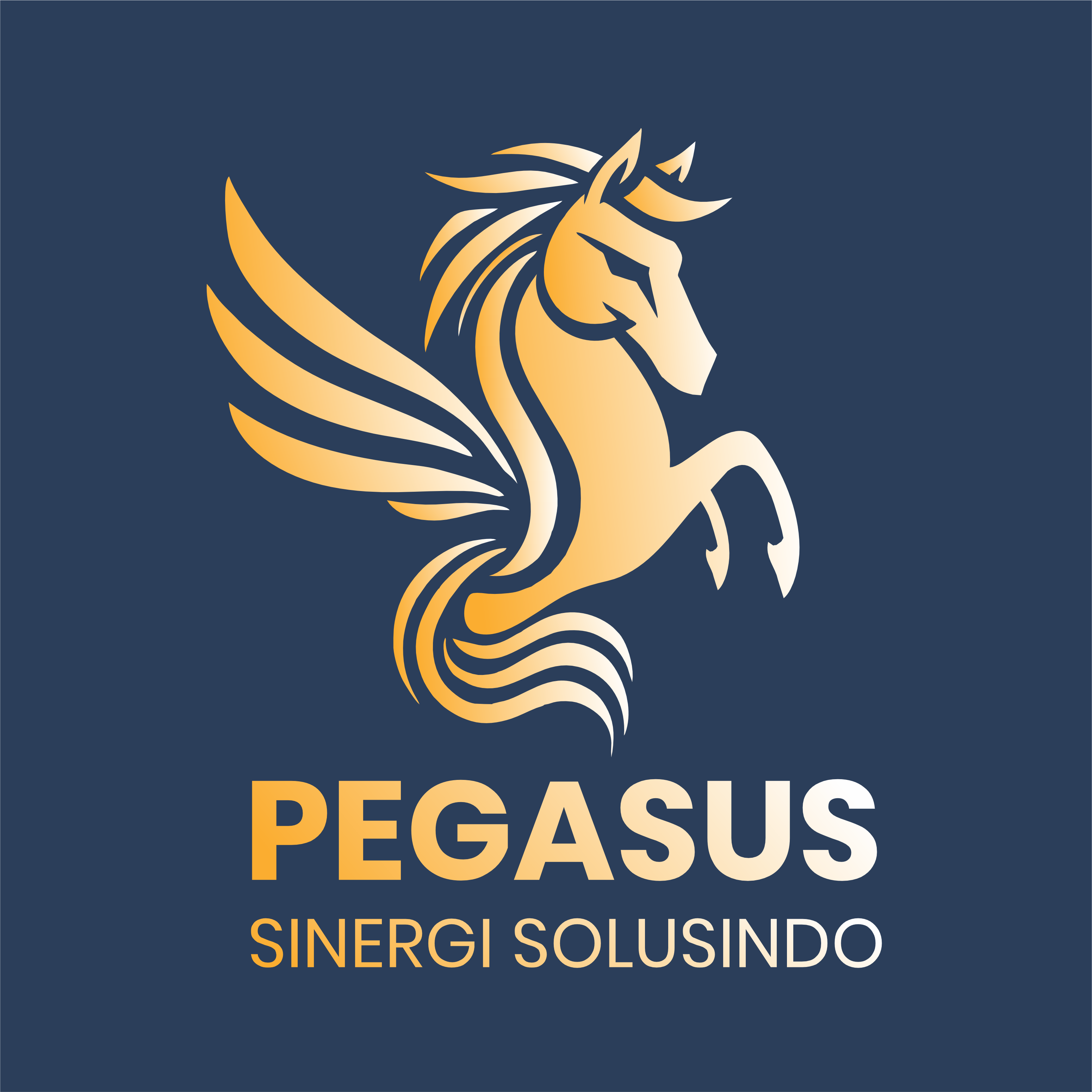 PT PEGASUS SINERGI SOLUSINDO