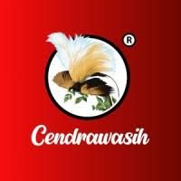 Cendrawasih Group