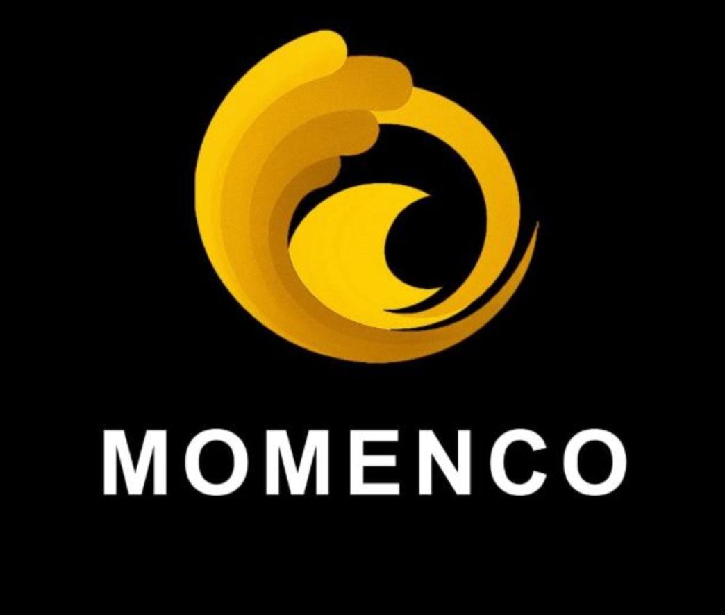 Cv.momenco grup