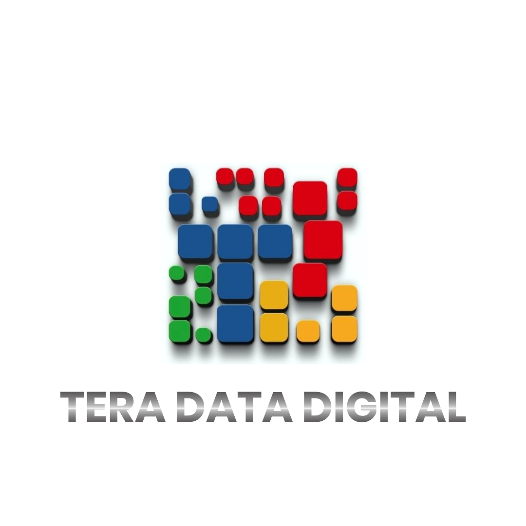 TERA DATA DIGITAL logo
