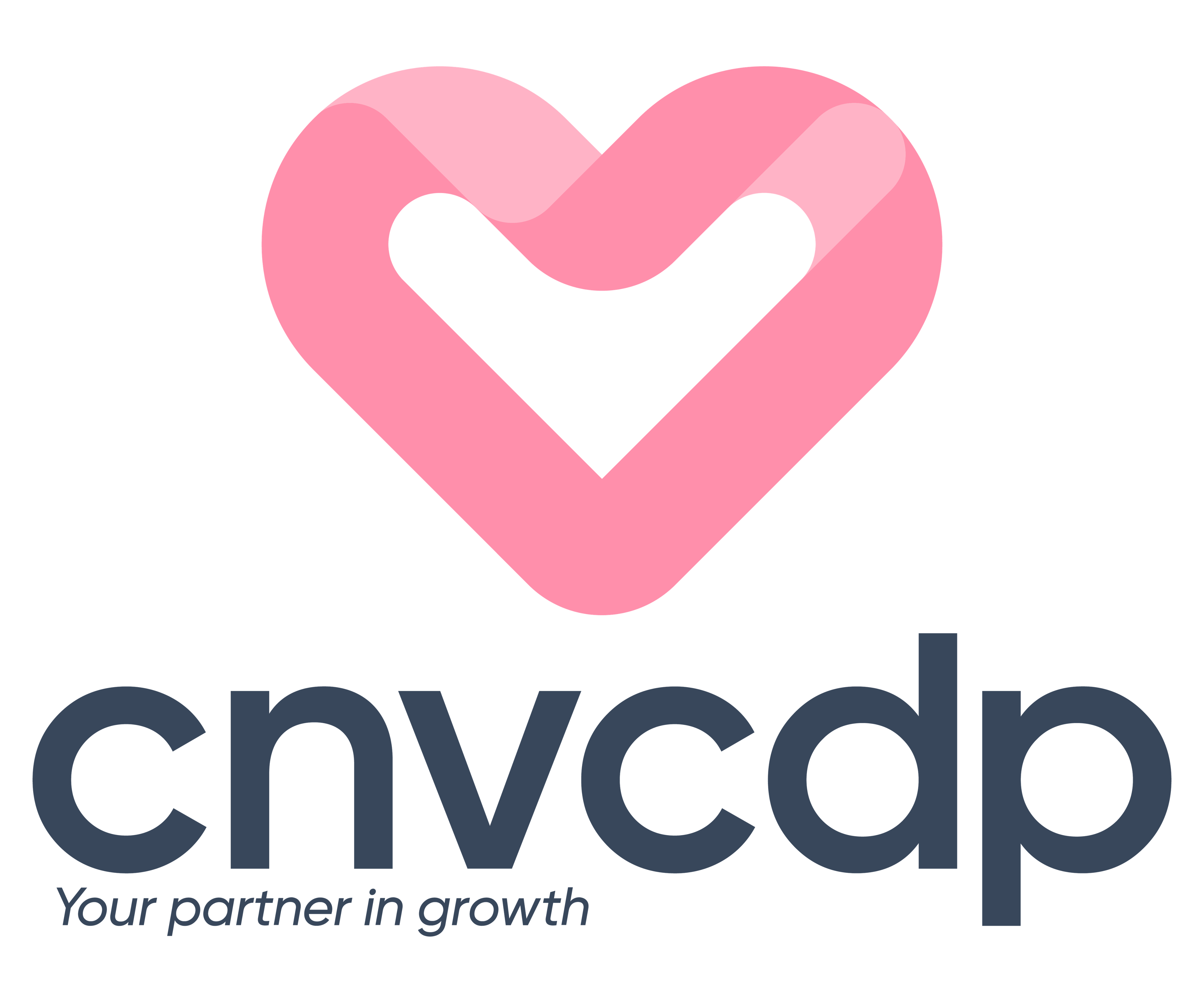 CÔNG TY CỔ PHẦN CNV HOLDINGS