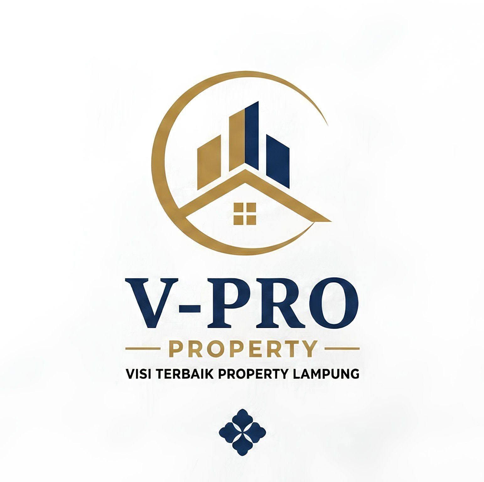 V Property logo