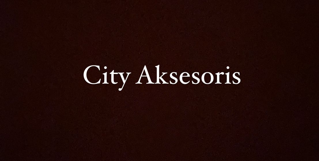 City Aksesoris logo