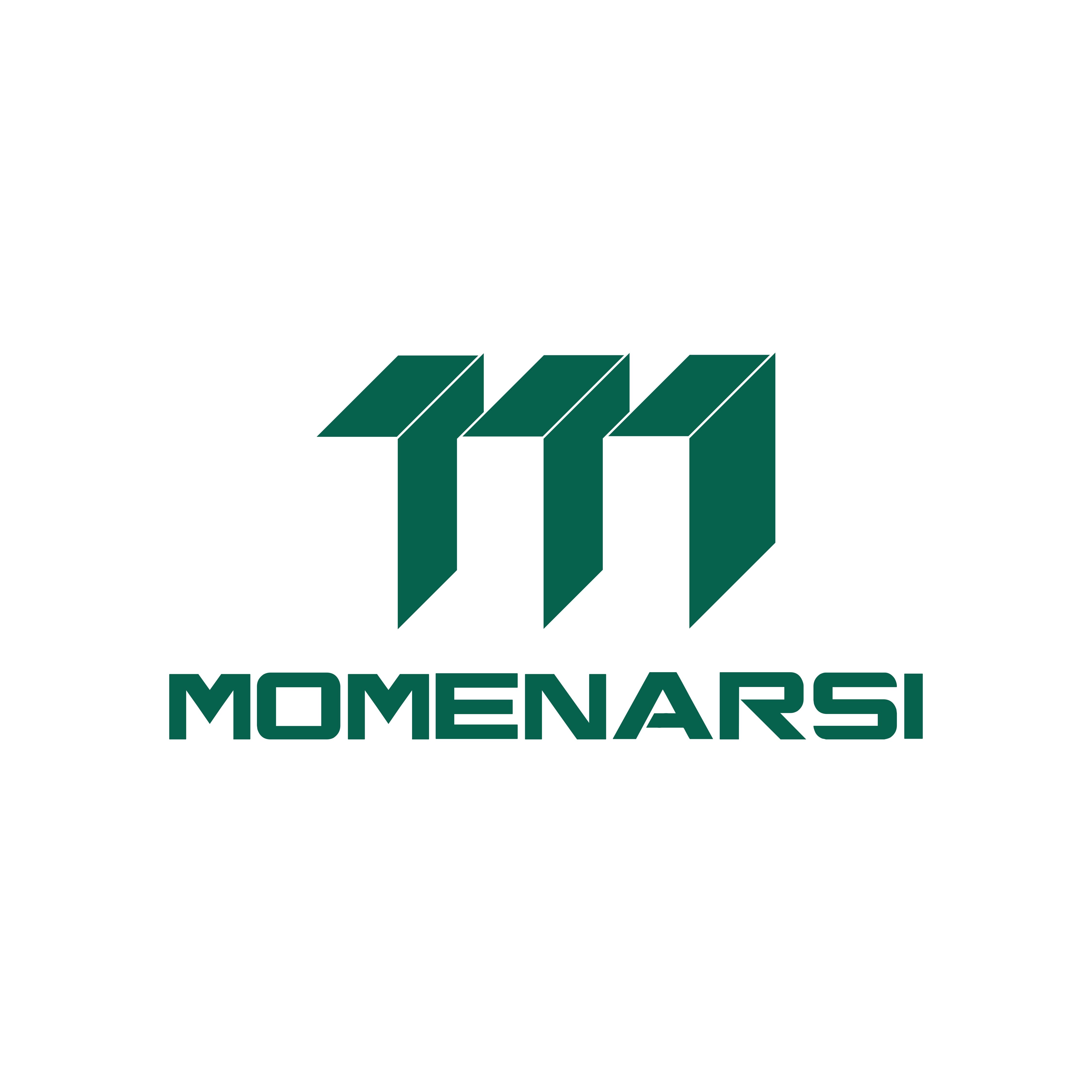 CV MOMENARSI CONSULTANT