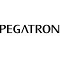 PT. PEGAUNIHAN TECHNOLOGY INDONESIA