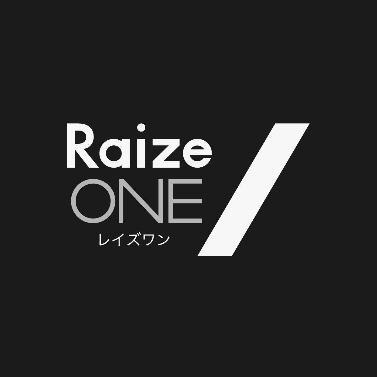 RAIZE ONE COMPANY LIMITED