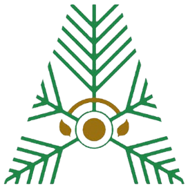 PT Visi Arlion Internasional