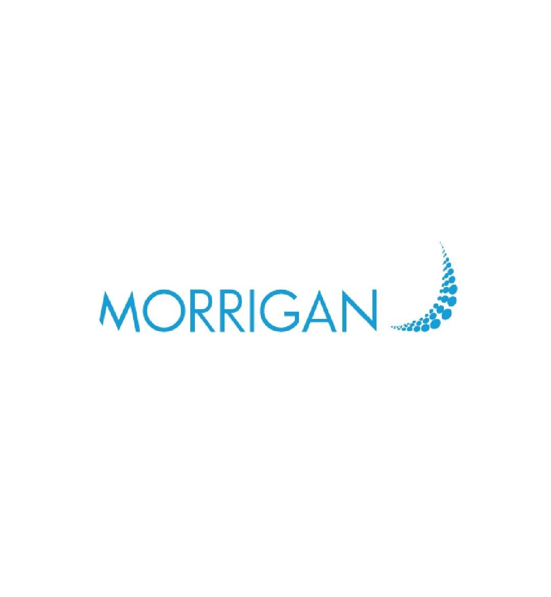 PT. MORRIGAN SERVICES