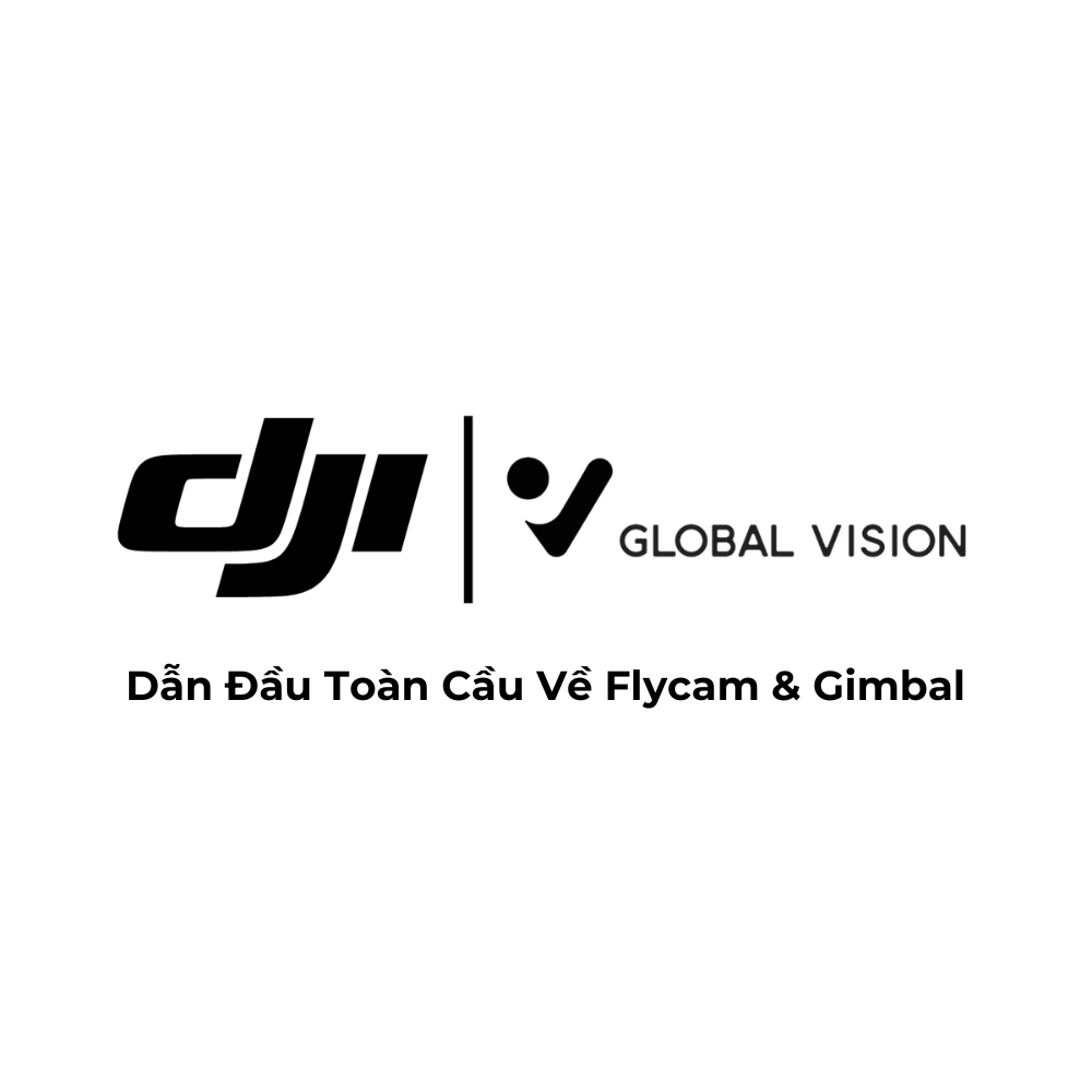 GLOBAL VISION TECHNOLOGIES