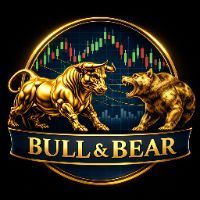 Bulll & Bear Team logo