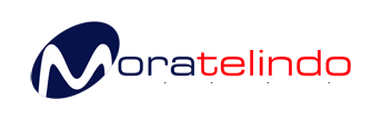 PT. MORA TELEMATIKA INDONESIA Tbk.