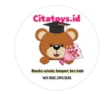 Citatoys logo