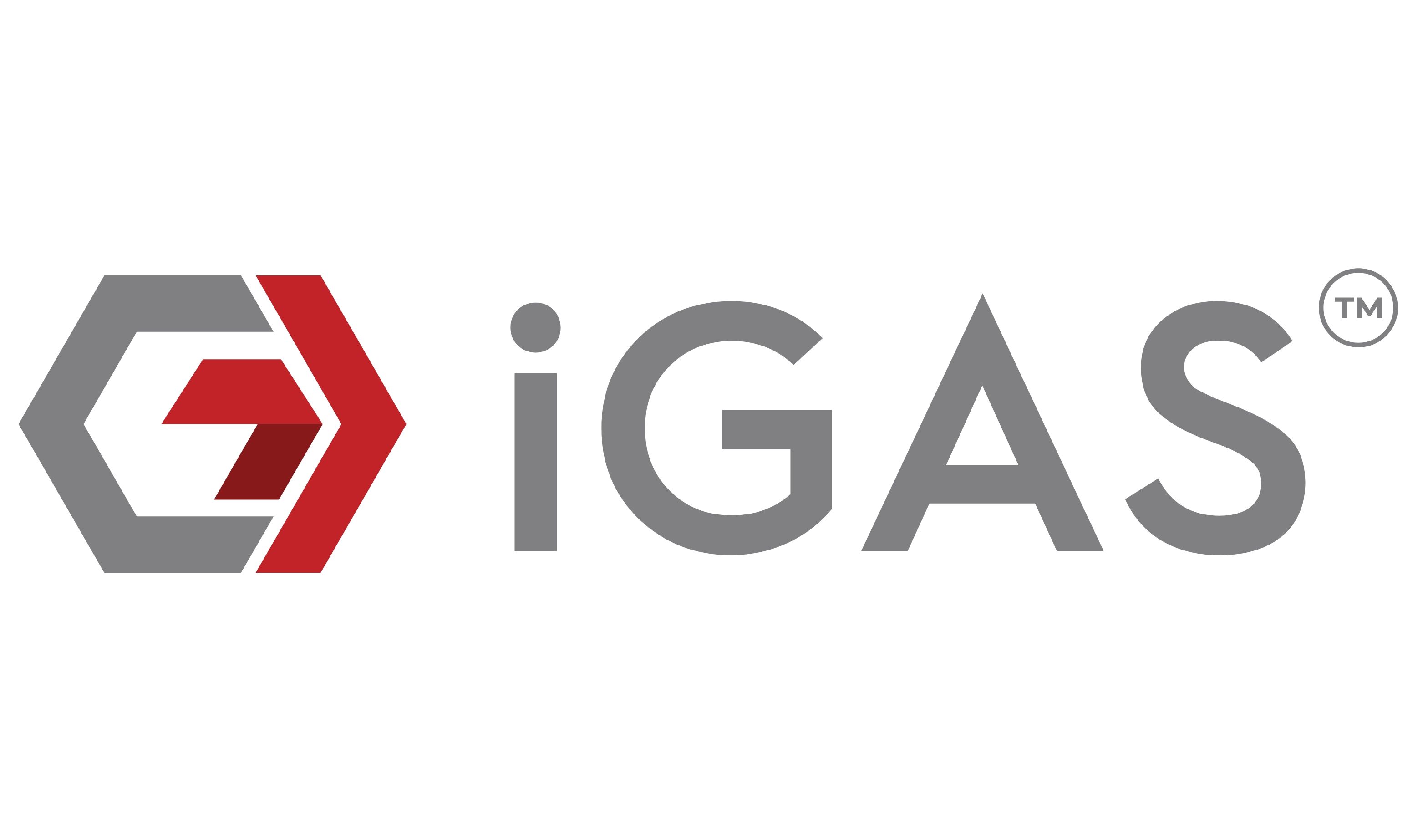 IGAS GROUP logo