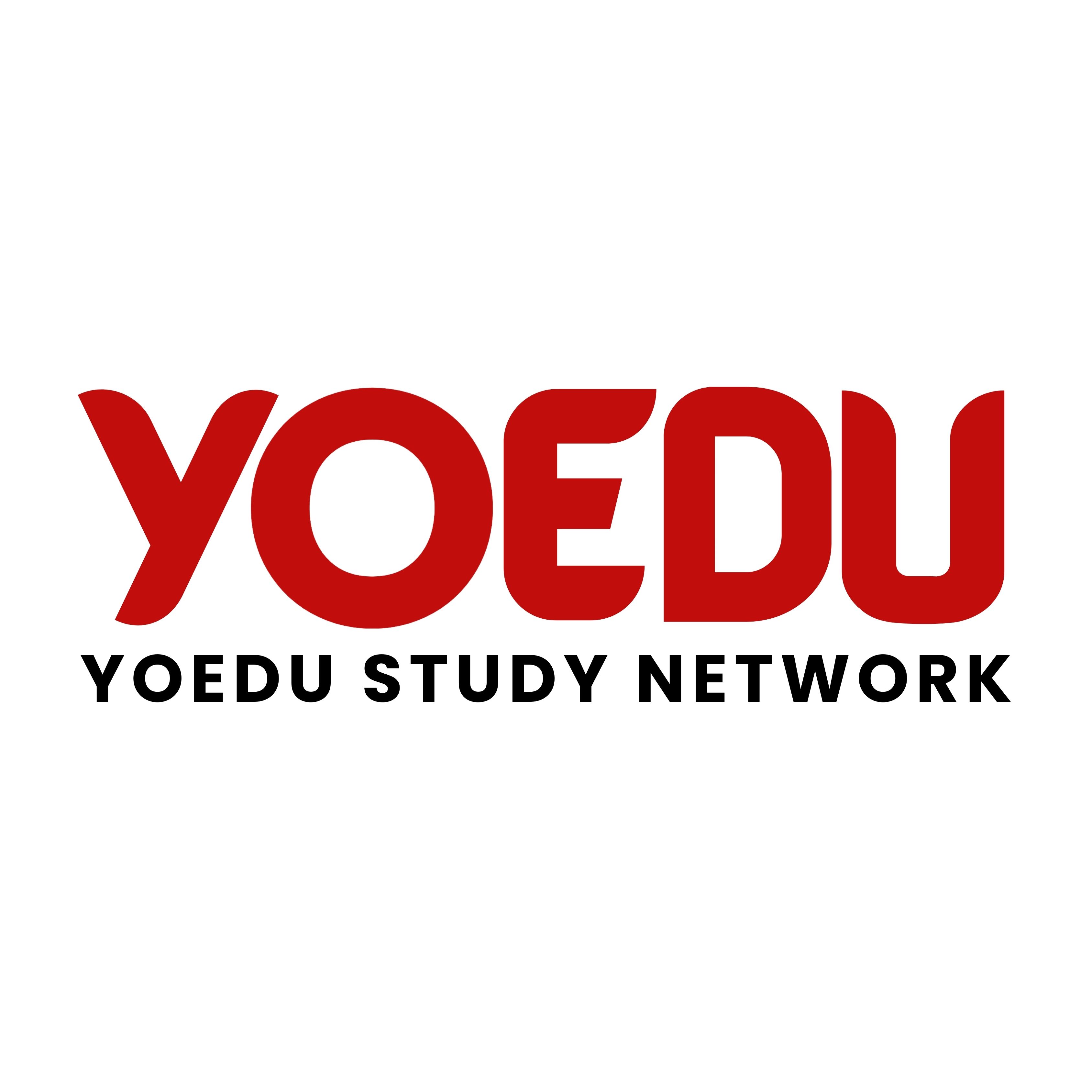 Yoedu Study Network logo
