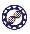 Dnalytics Consulting
