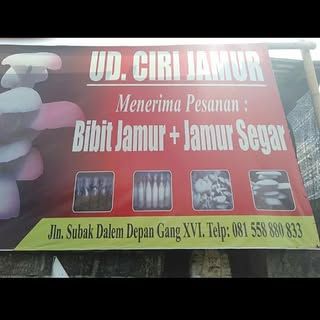 UD. Ciri Jamur