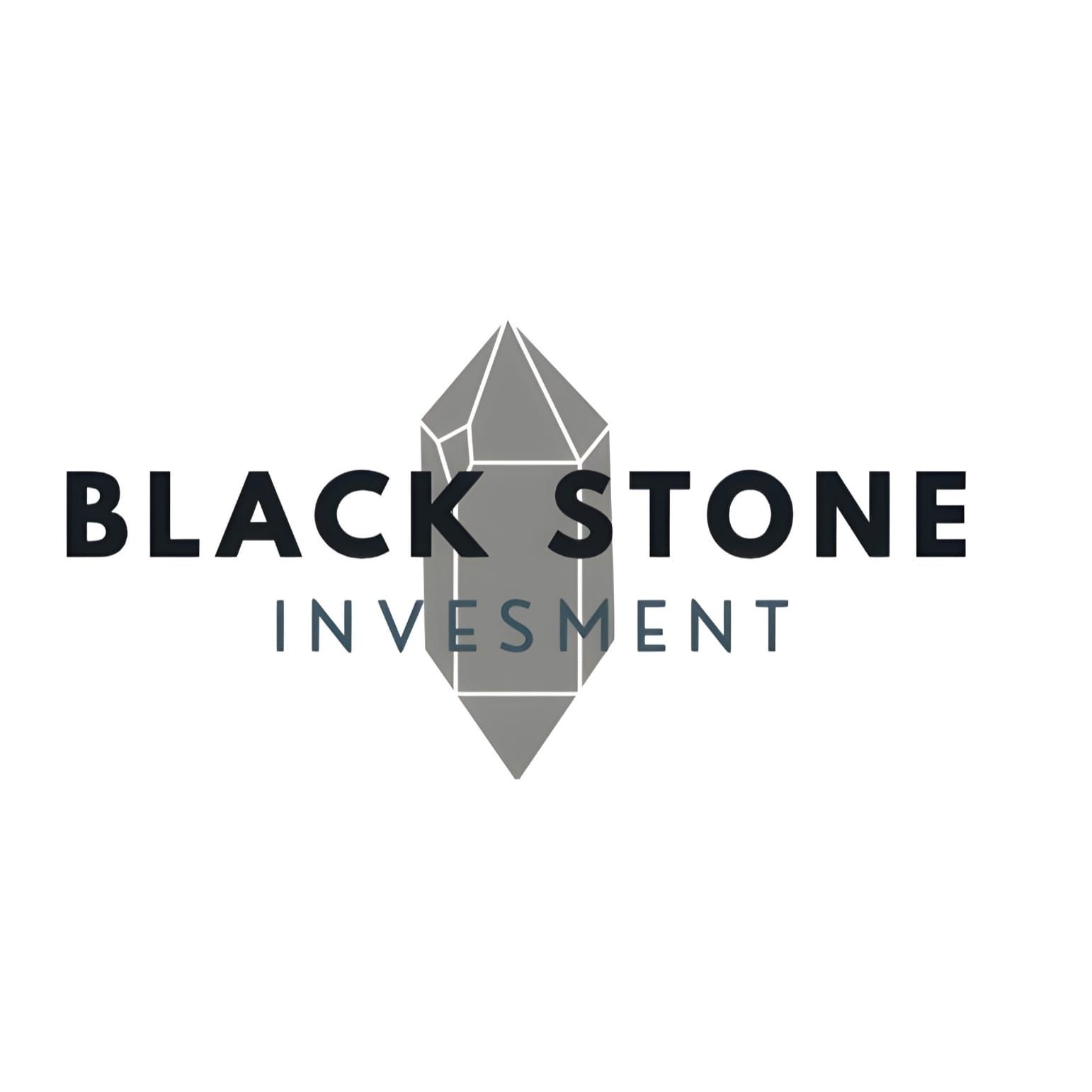 CV Black Stone Invesment
