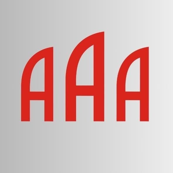 PT. ANUGRAH AGUNG ALAMI logo